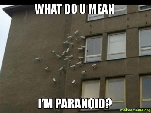 paranoid-video-cameras